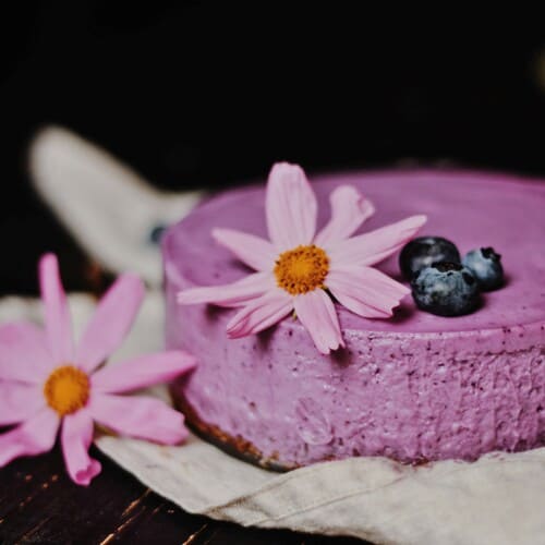 Currant cheesecake